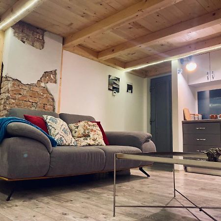 Central Cluj Loft Leilighet Eksteriør bilde