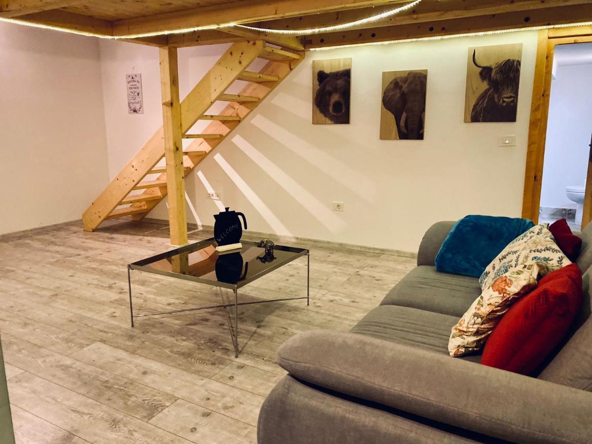 Central Cluj Loft Leilighet Eksteriør bilde